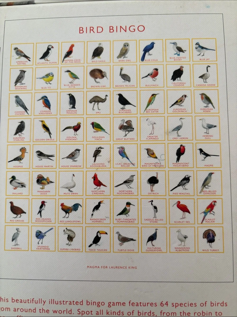 Anthropologie Bird Bingo Game - Illustrated Bird Matching Game (White & Red)